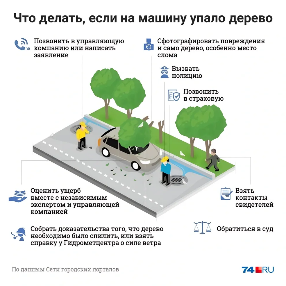 На Уралмаше дерево рухнуло на Nissan, разбив стекло и бампер