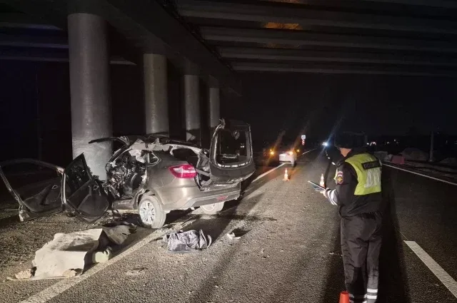 В Косулино BMW сбила 8-летнего мальчика, выбежавшего на дорогу